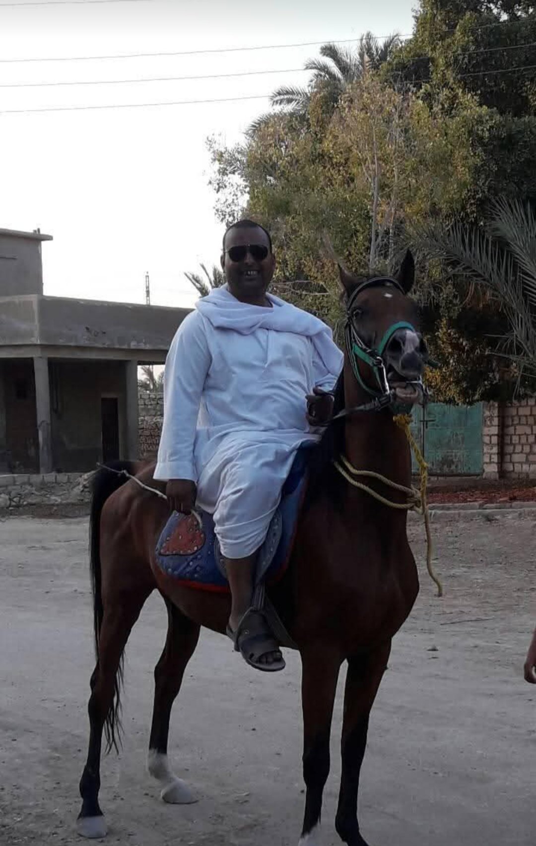 صورة ابراهيم